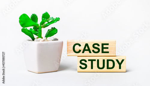 On a light background, a plant in a pot and two wooden blocks with the text CASE STUDY