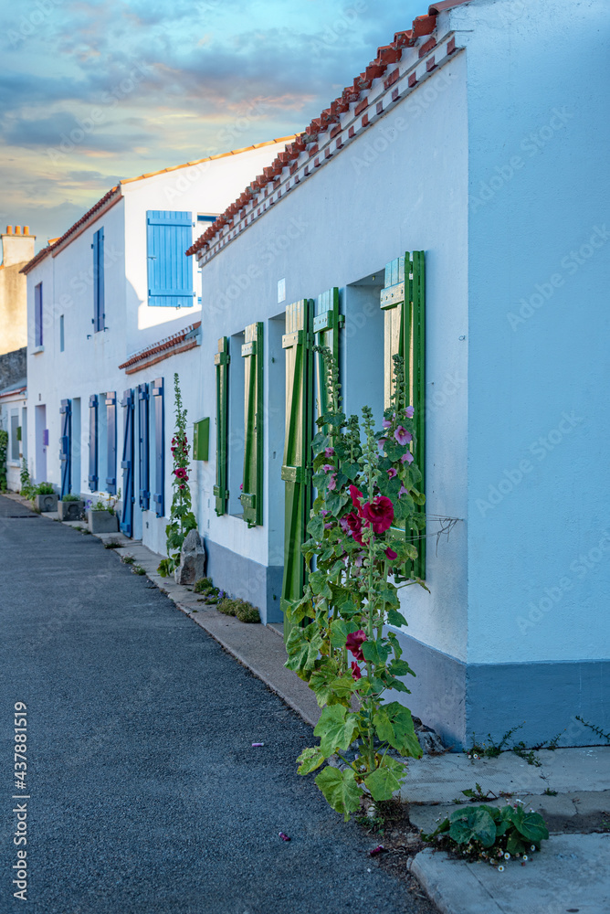 Obraz premium noirmoutier