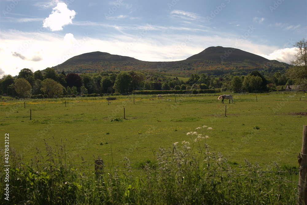 view of Eildon hills from Darnick on summers morning