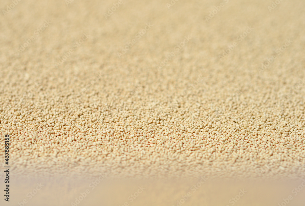 Dry yeast Dry yeast