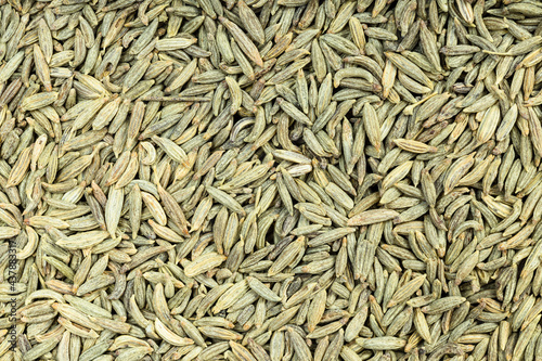 background - many dried anise seeds