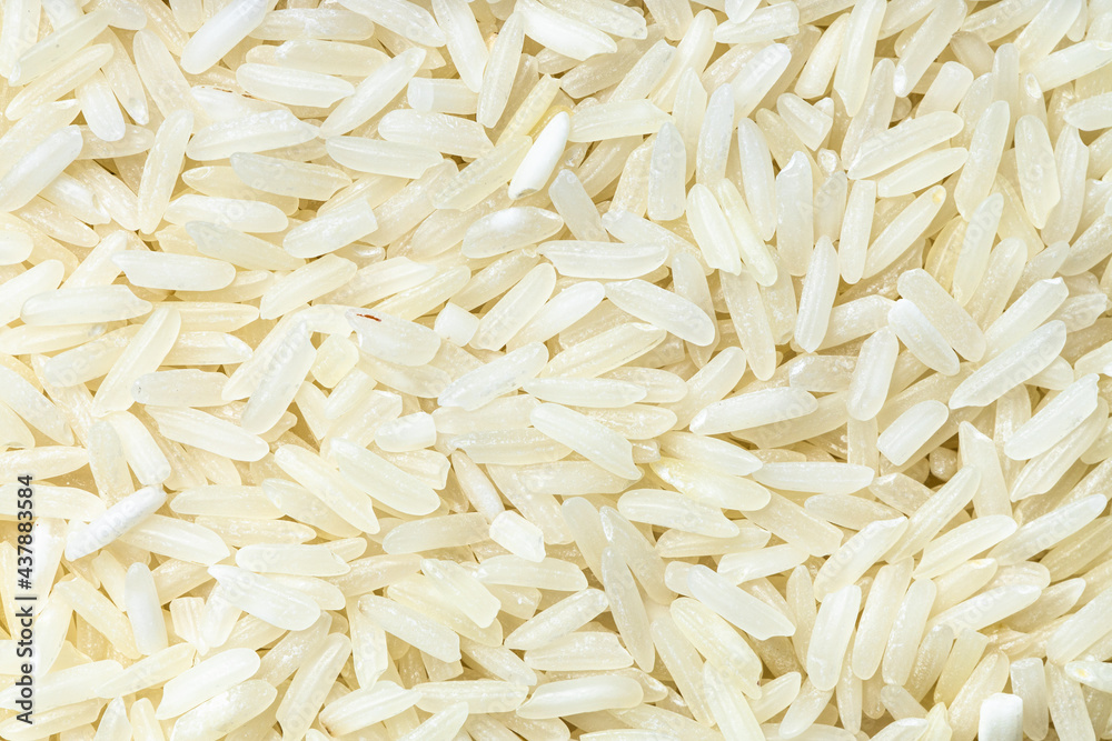 background - uncooked polished long-grain rice background - uncooked polished long-grain rice