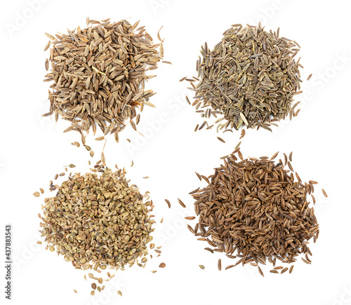 various caraway like seeds on white plate