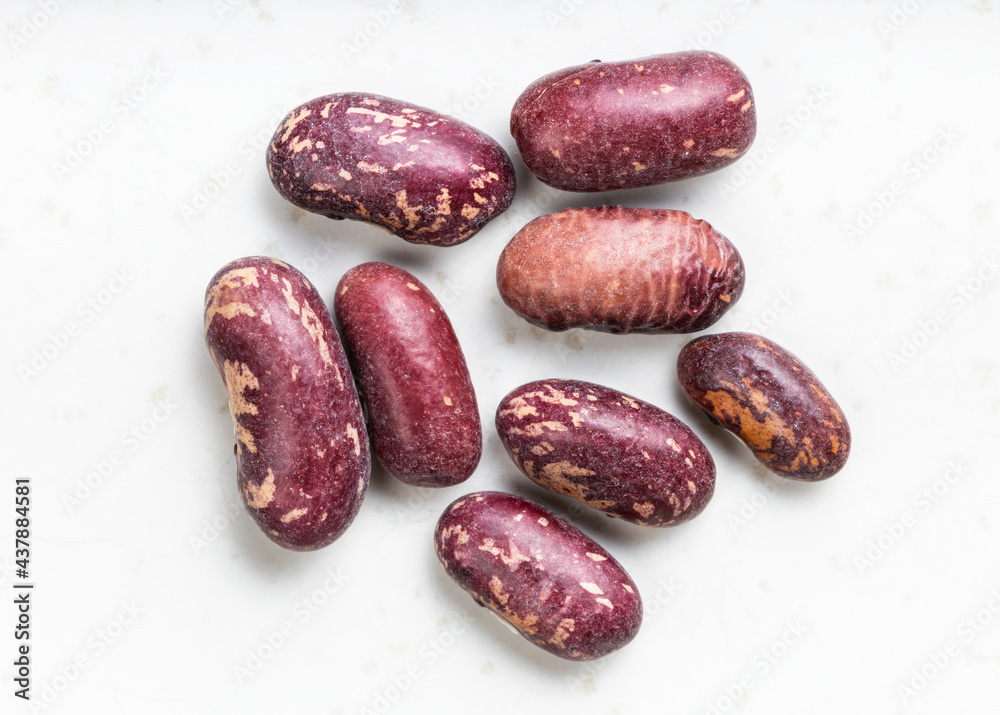 several red spotted pinto beans close up on gray several red spotted pinto beans close up on gray