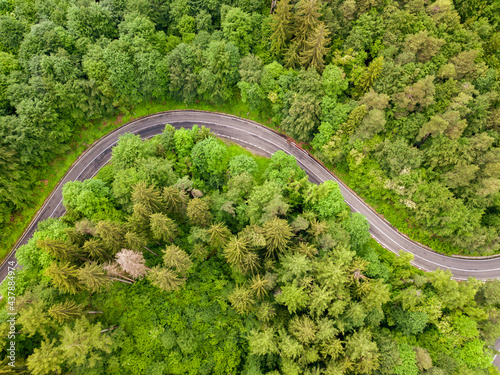 Fototapeta Naklejka Na Ścianę i Meble -  Aerial view of winding road in high mountain pass trough dense green pine woods.