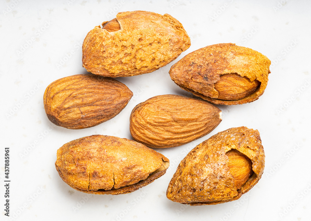 several almond seeds and drupes close up on gray several almond seeds and drupes close up on gray