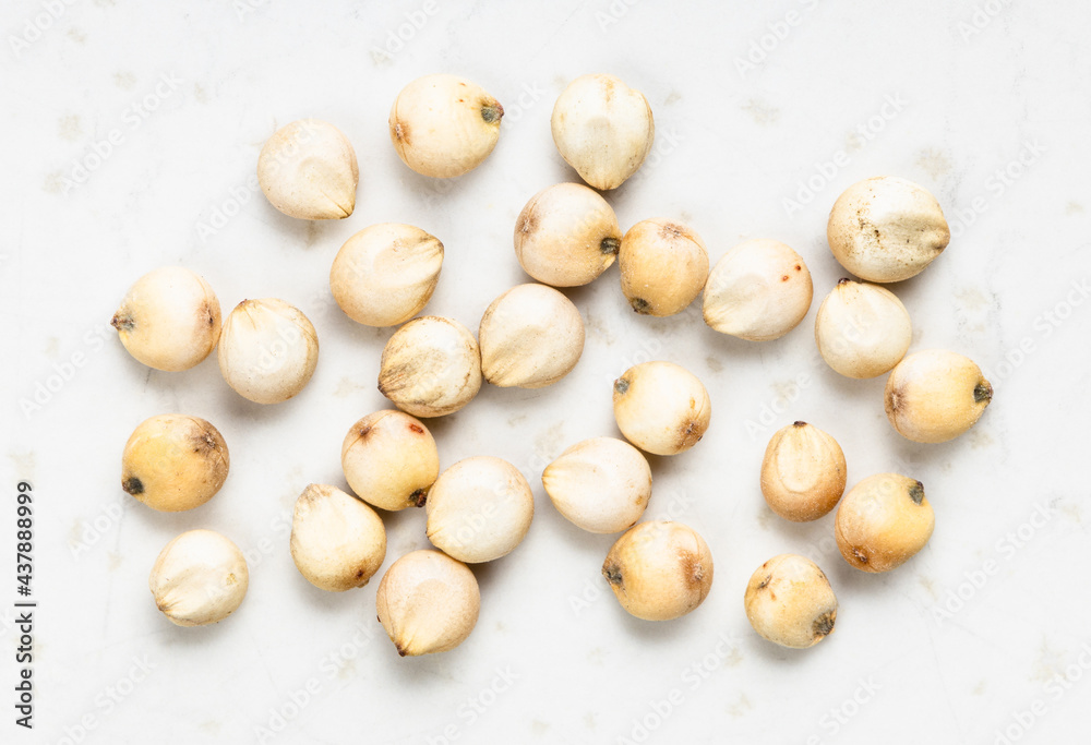 several raw unpolished Sorghum grains close up several raw unpolished Sorghum grains close up
