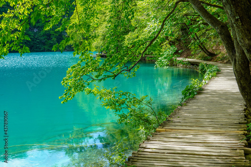 Walking path near the lake in the Plitvice National Park, Croatia 