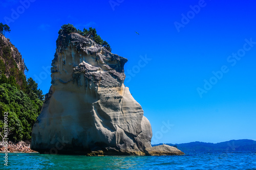 Te Hoho Rock near Cathedral Cove in New Zealand