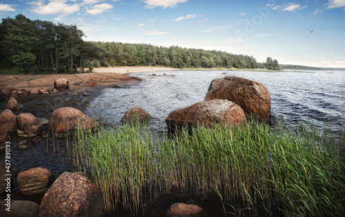Red stones going bathe. Baltic shore with granite rocks and sand beach at background. Gulf of Finland.