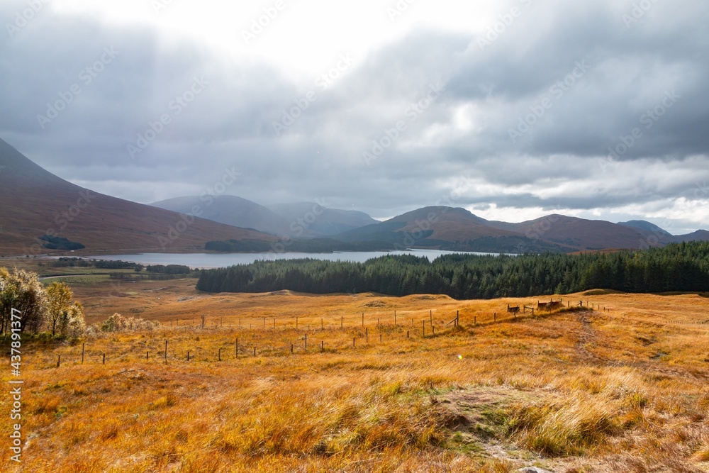 Highlands Highlands