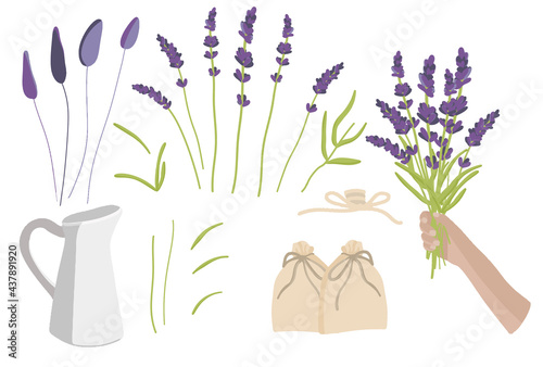 Elegant lavender set, lavender bouquet collection, lavender bouquet in hand, dried flowers, flower vase, herb bags, lilac color, isolated background