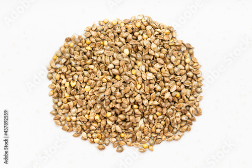 pile of whole-grain barnyard millet seeds on gray