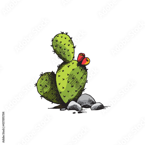 Wallpaper Mural Blooming cactus with massy fat leaves, engraving vector illustration isolated. Torontodigital.ca