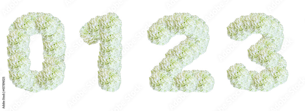 Numbers 0, 1, 2, 3 made of White Guelder Rose Numbers 0, 1, 2, 3 made of White Guelder Rose