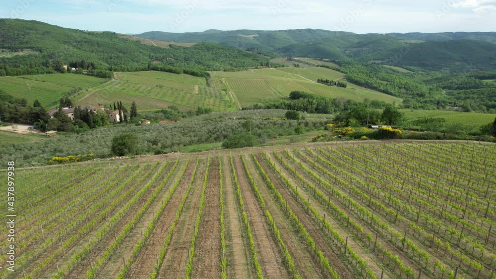 Aerial view of young vineyards at Panzano in the Chianti area in Tuscany. Italy Aerial view of young vineyards at Panzano in the Chianti area in Tuscany. Italy