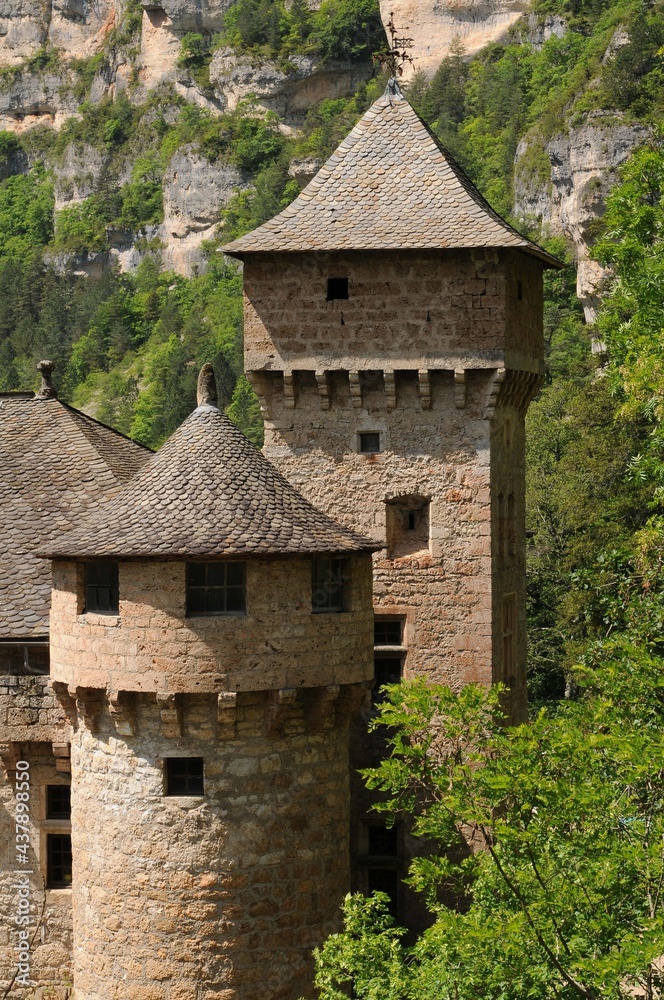 Château de La Caze dans les gorges du Tarn en Lozère France Château de La Caze dans les gorges du Tarn en Lozère France