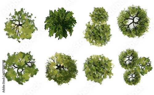 Vector of abstract watercolor green tree top view isolated on white background for landscape plan and architecture layout drawing, elements for environment and garden, green grass illustration