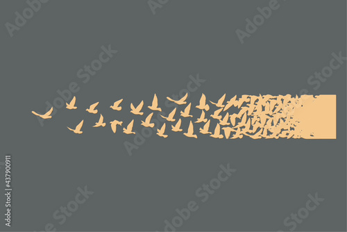 Flying birds silhouettes on white background. Vector illustration. isolated bird flying. tattoo design.
