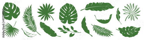 Set of Tropical leaves. Collection green leaves palm, fan palm, banana leaves. Nature leaves collection. Vector illustration.