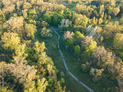 Natural city park in the rays of dawn. Dirt footpaths among the trees. Aerial drone view.