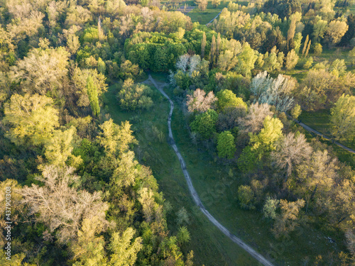 Natural city park in the rays of dawn. Dirt footpaths among the trees. Aerial drone view.