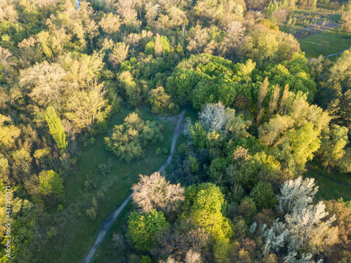 Natural city park in the rays of dawn. Dirt footpaths among the trees. Aerial drone view.