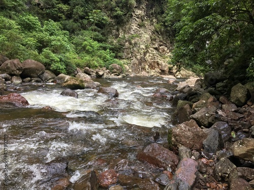Rio na trilha photo