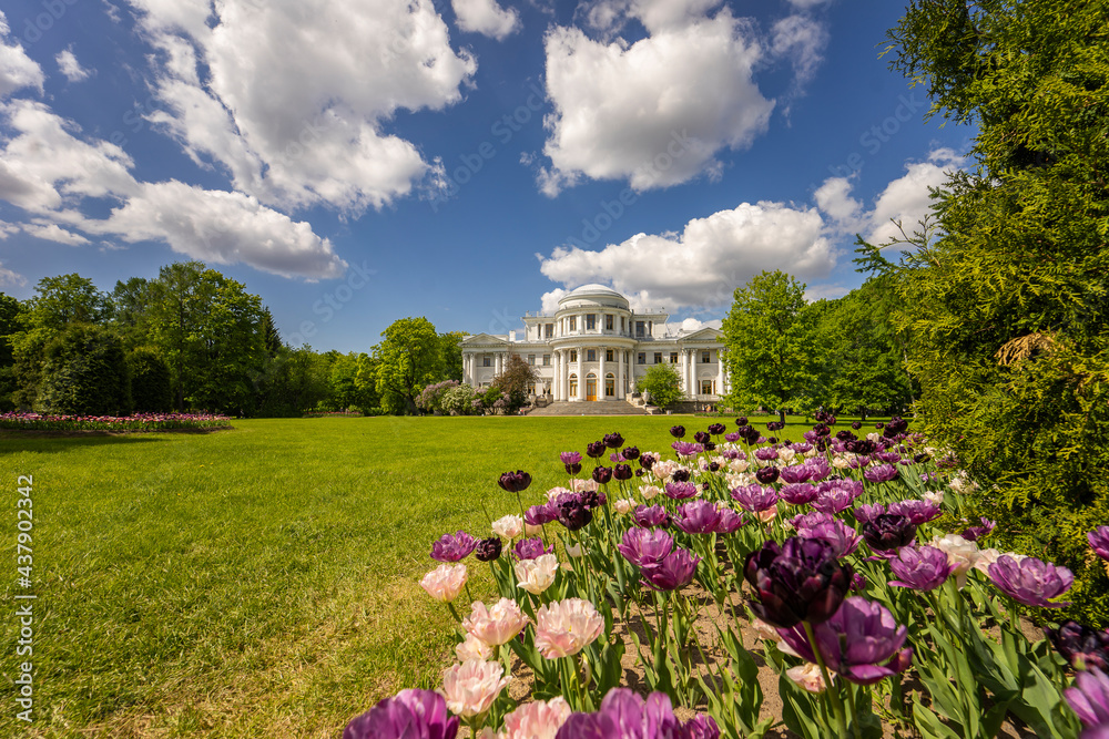 Magnificent landscape with views of the Elaginoostrovsky Palace and tulips. Saint Petersburg, Russia.