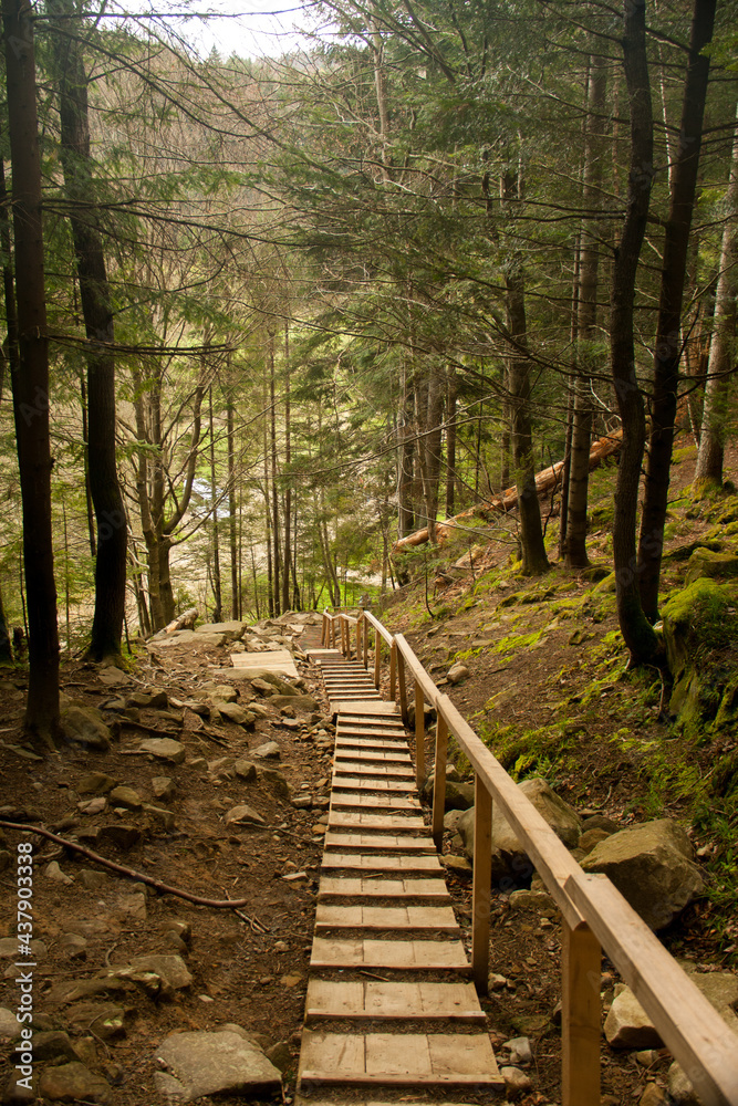Obraz premium A wooden staircase in the Carpathian forest leads down from the mountain, sunny day. Vertical foto