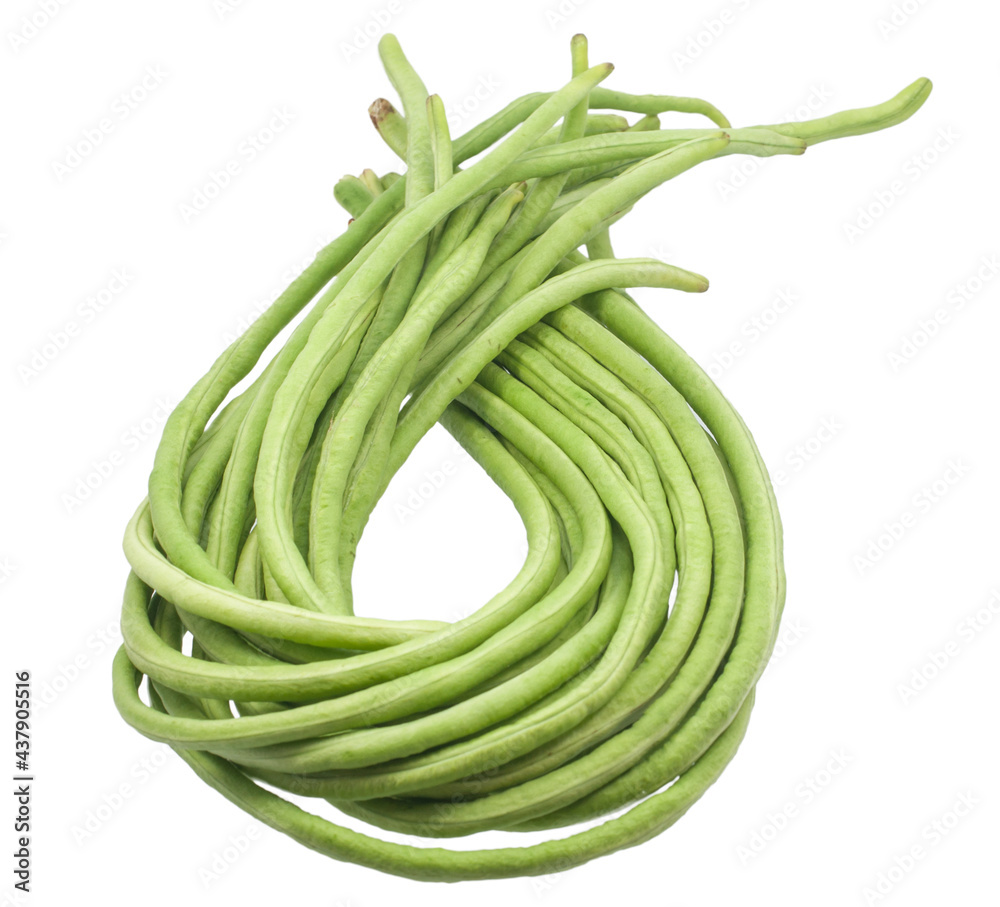 Yardlong beans isolated on white background Yardlong beans isolated on white background
