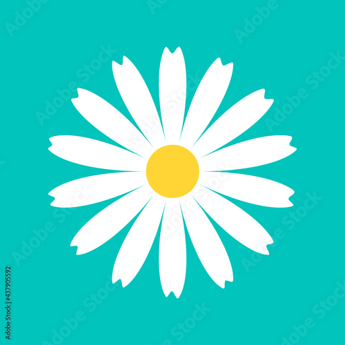 Fototapeta Naklejka Na Ścianę i Meble -  Daisy Chamomile round icon. White flower. Camomile petal. Cute plant collection. Growing concept. Love card. Happy Valentines Day decoration. Flat design. Green background. Isolated.