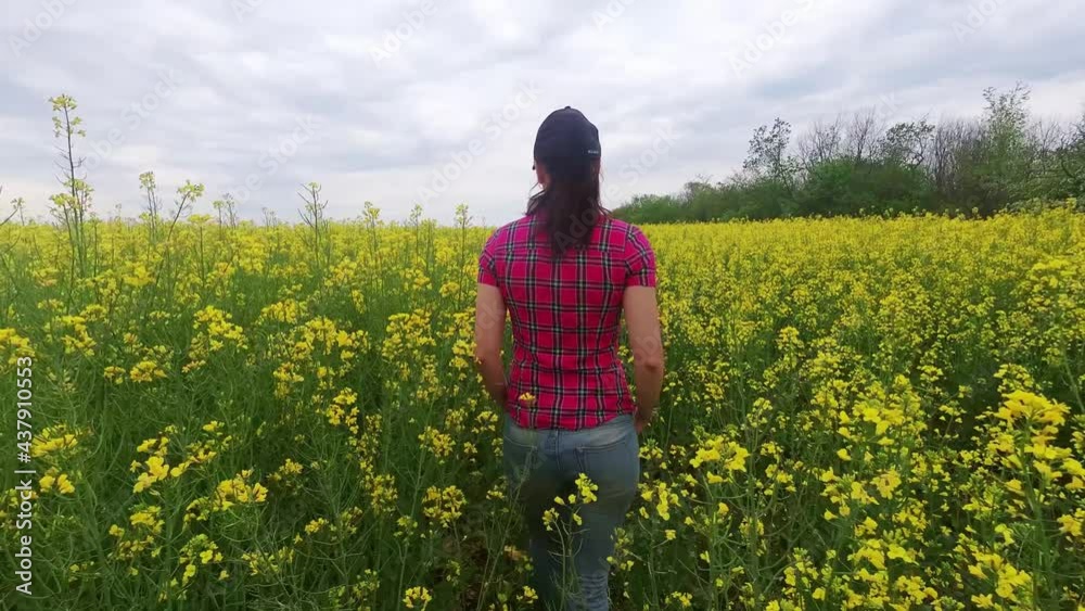 A young woman farmer walks into a rapeseed field and checks the quality of the plant using a mobile tablet gadget. Concept frames of the harvest of agricultural products. Rapeseed field A young woman farmer walks into a rapeseed field and checks the quality of the plant using a mobile tablet gadget. Concept frames of the harvest of agricultural products. Rapeseed field