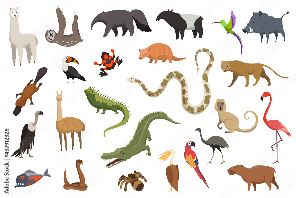 Fototapeta premium Animals of south america. Nature fauna collection. Geographical local fauna. Mammals living on continent. Vector illustration in kids style