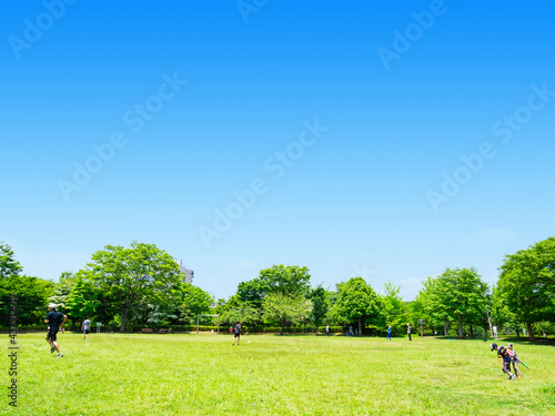 青空と緑の公園