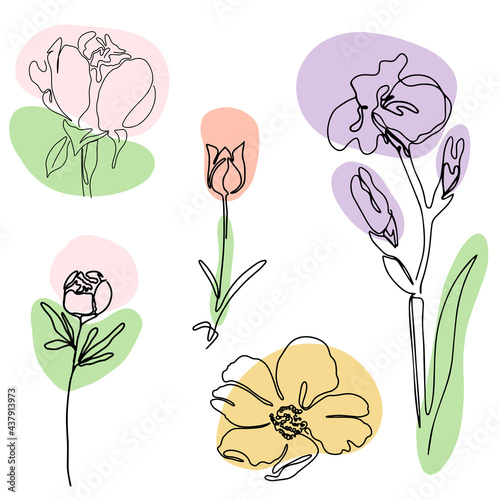 hand drawn Line art monoline flowers . Vector illustration