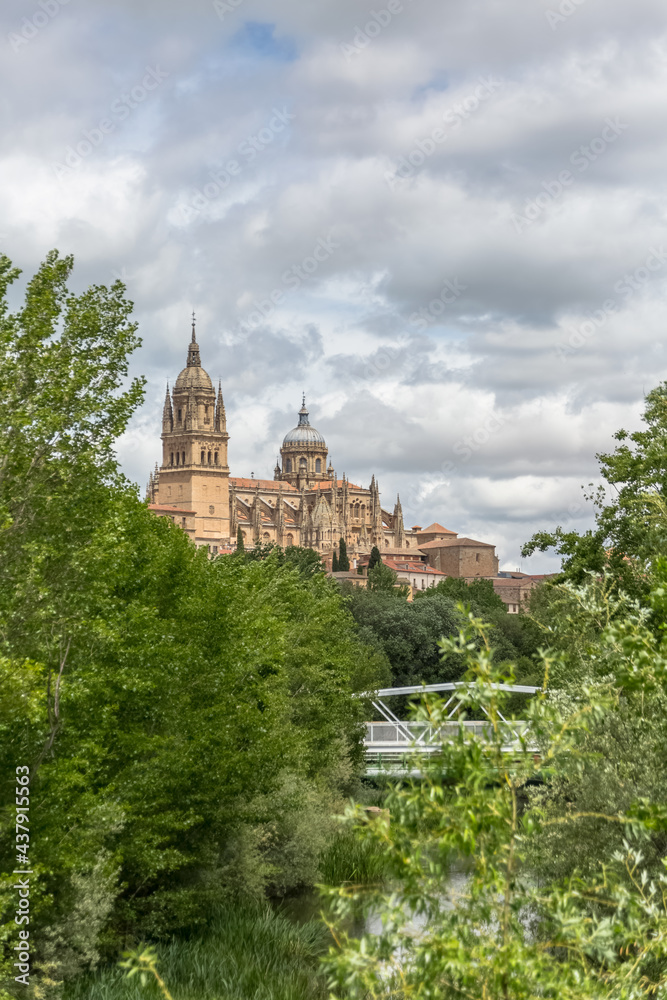 Majestic view at the gothic building at the Salamanca cathedral tower cupola dome and University of Salamanca tower cupola dome, surrounding vegetation and tormesriver