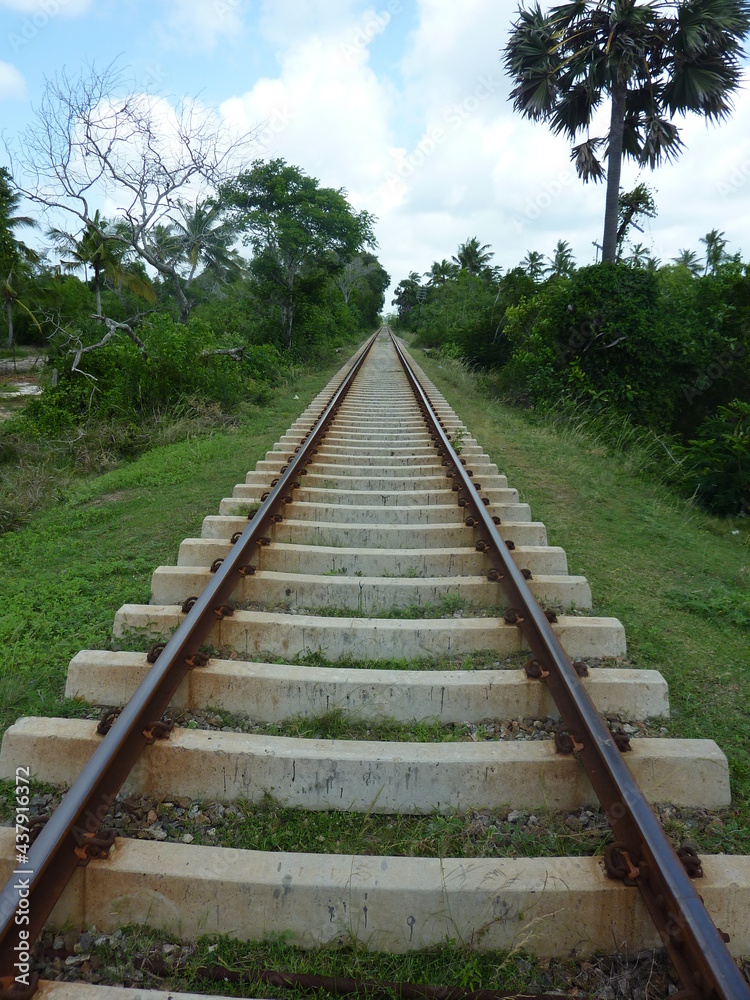 Obraz premium スリランカ