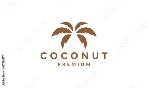 coconut leaf modern logo symbol vector icon illustration graphic design