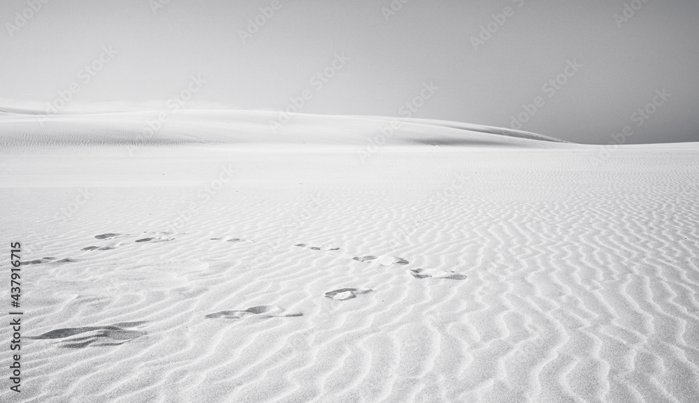 Fußspuren im Sand - Die Wüste von Polen - Düne an der Ostsee - Naturschutzgebiet Łeba (Leba) an der Lontzkedüne (polnisch Wydma Łącka) - obrazy, fototapety, plakaty 