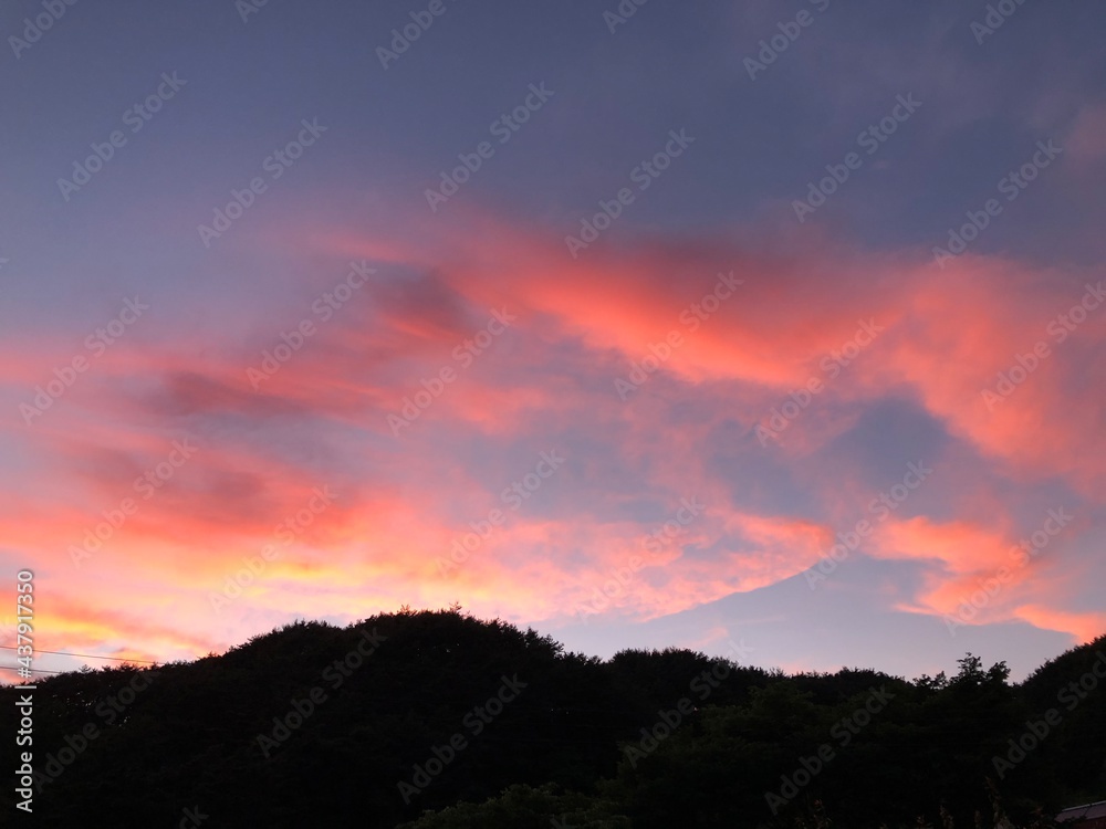 Obraz premium the pink sky in the country