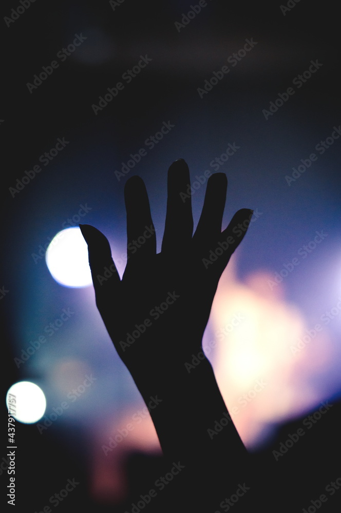 찬양하는 손, 경배하는 손