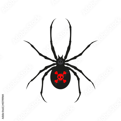 Poisonous spider black widow, spider silhouette latrodectus tredecimguttatus.