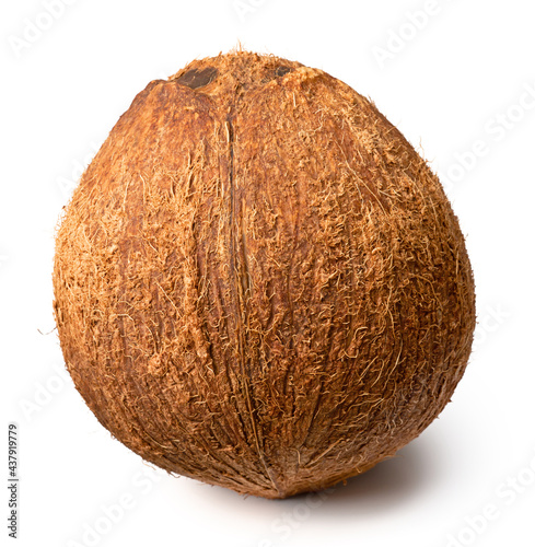 whole hairy coconut fruit isolated on white background