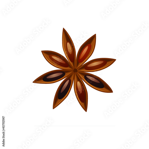 star anise isolated on white background
