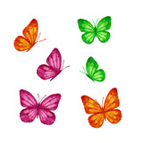 Set of watercolor butterflies, 
pink, orange, green
