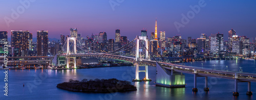 Wide panorama image of Tokyo cityscape at dusk with Rainbow bridge and Tokyo tower.