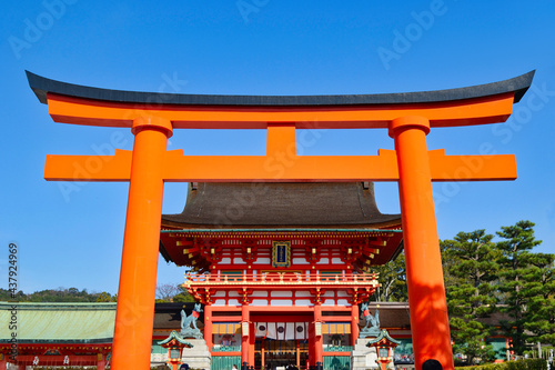                                                                                                                     Kyoto Fushimi Inari Taisha Shrine and vermilion torii gate against the blue sky with copy space  Kyoto City  Kyoto Prefecture  Japan 