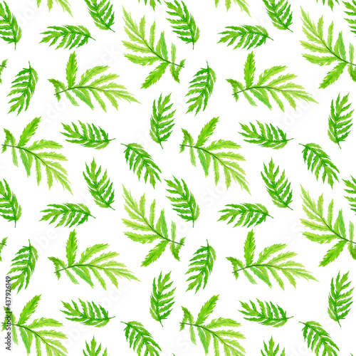 Watercolor green leaves in seamless pattern on white background. Hand drawing illustration. Foliage of blue tansy. Perfect for wrapping design.