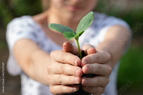 A small green sprout in the hands of a girl close-up. The girl plants seedlings .Eco concept.Garden concept